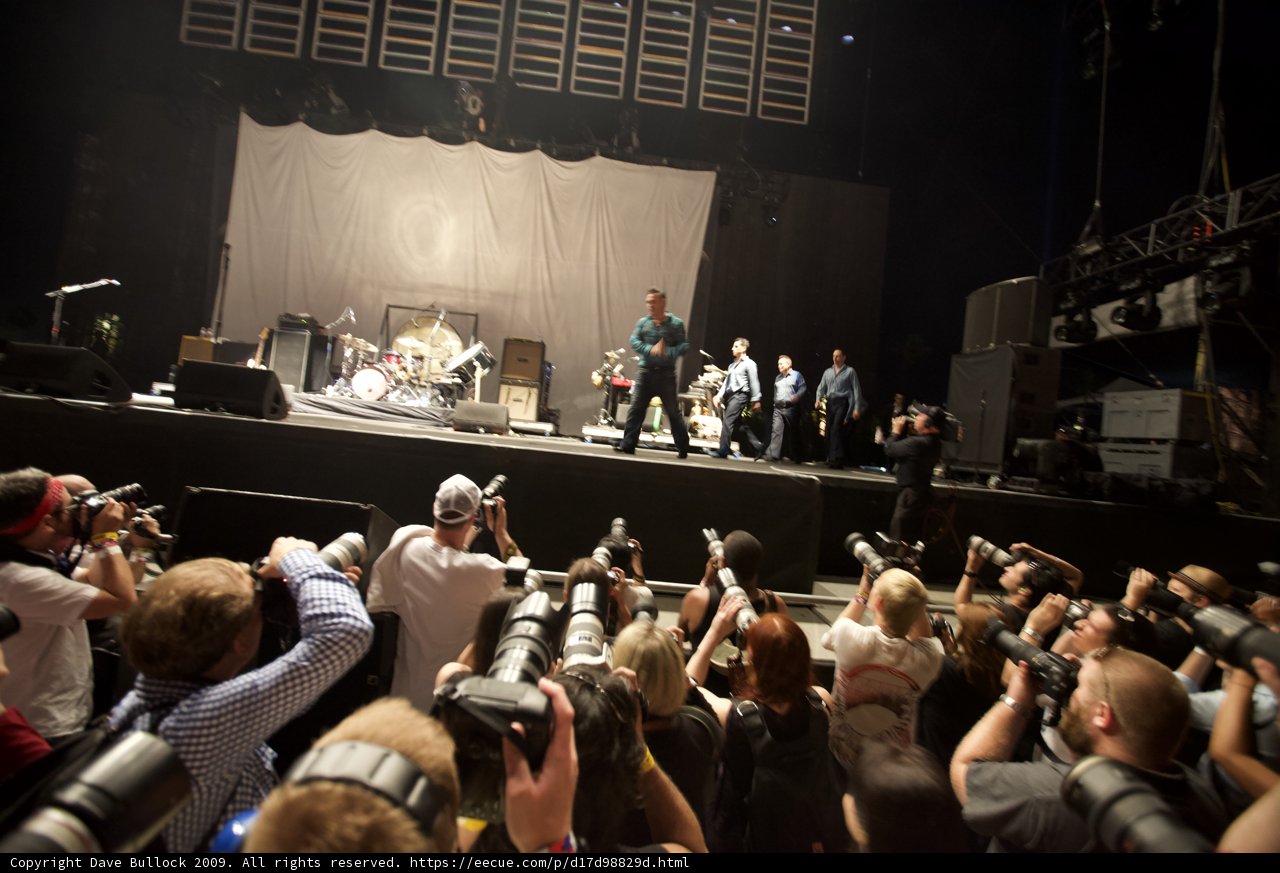 Crowd Goes Wild!