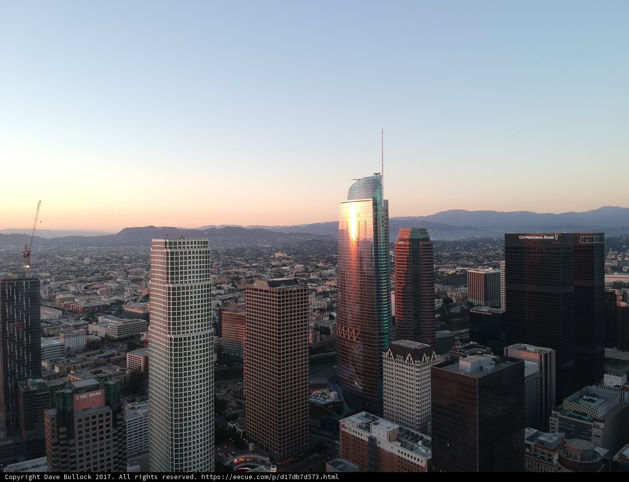 Sunset View of the Urban Jungle