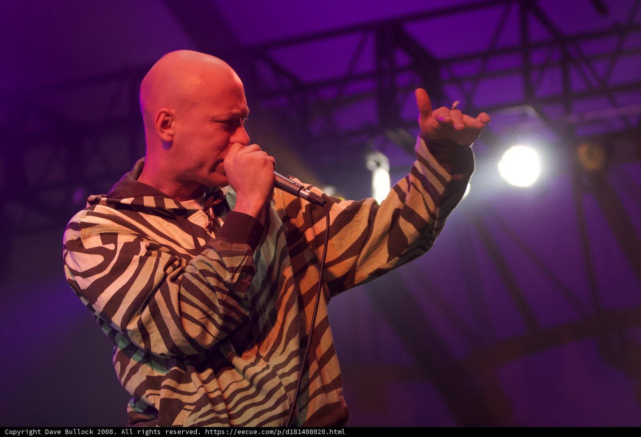 Spotlight on the Zebra-Print Entertainer