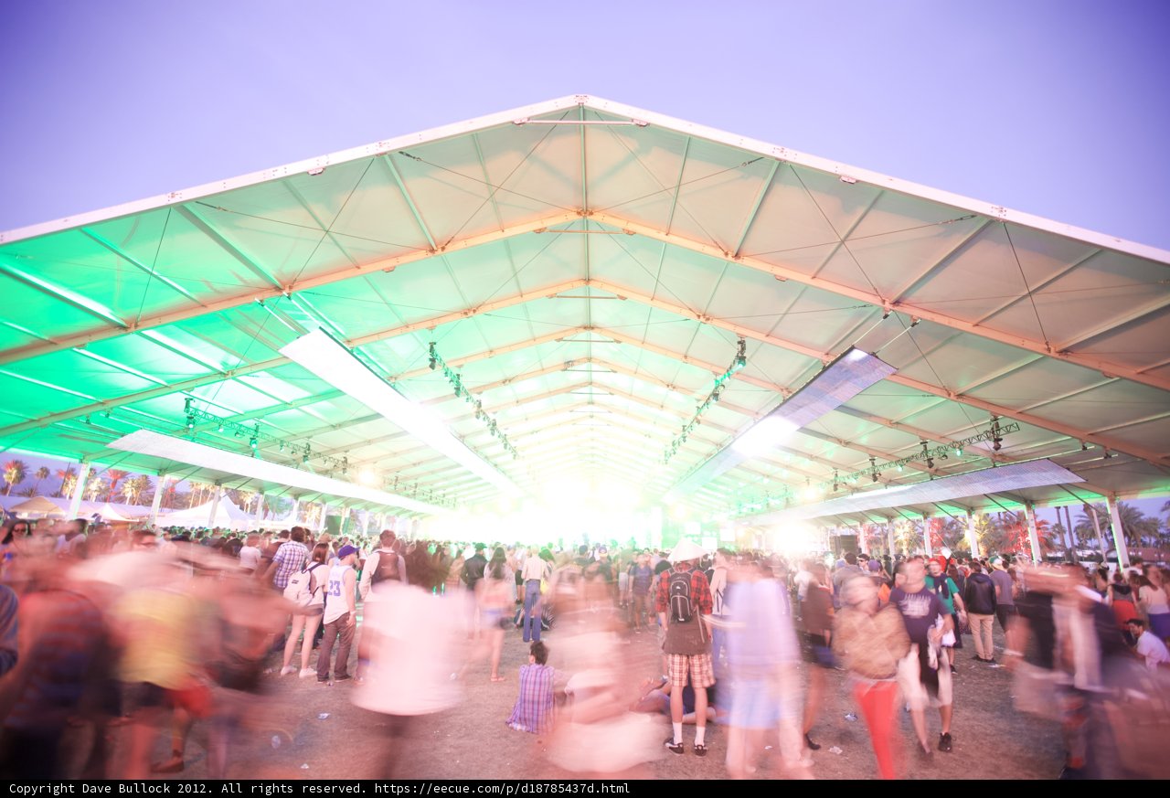 Festival Fever