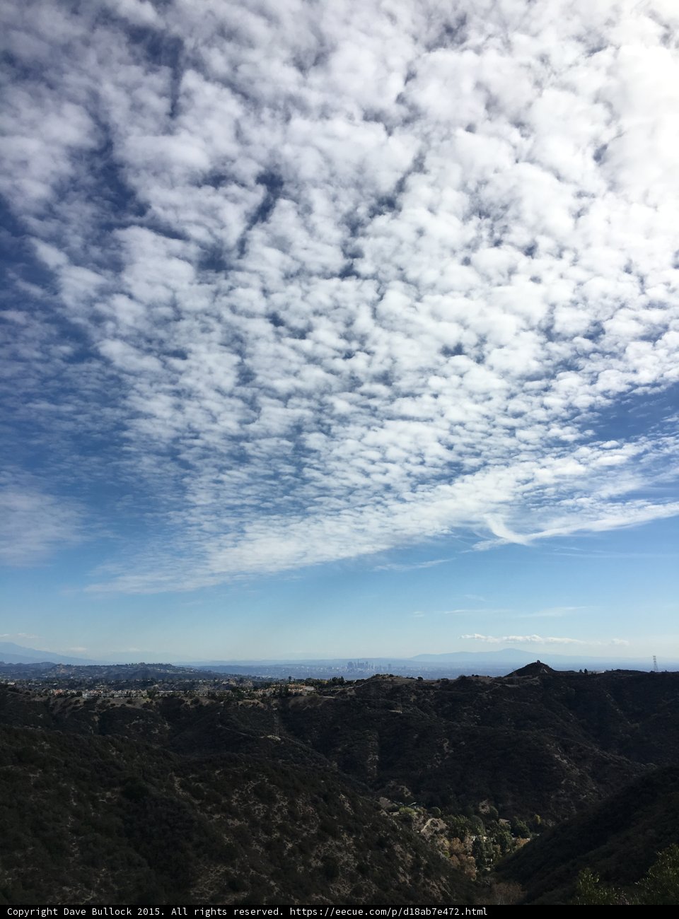 Trail Through Chaparral