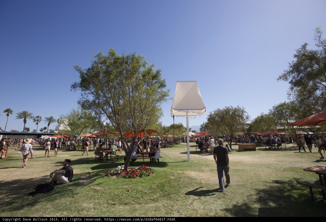 Relaxing on the Green Grass at Coachella