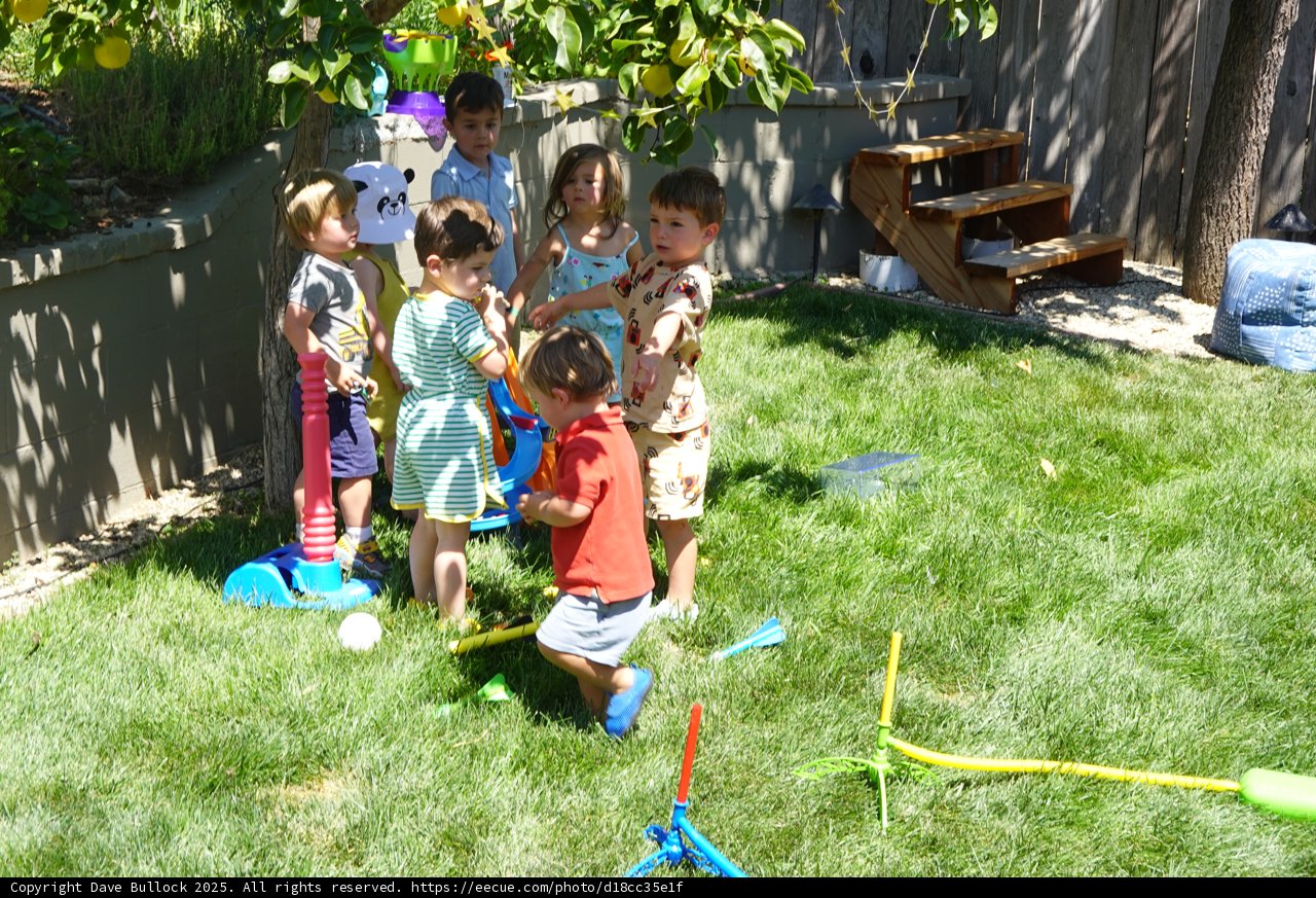 Backyard Playtime Adventure