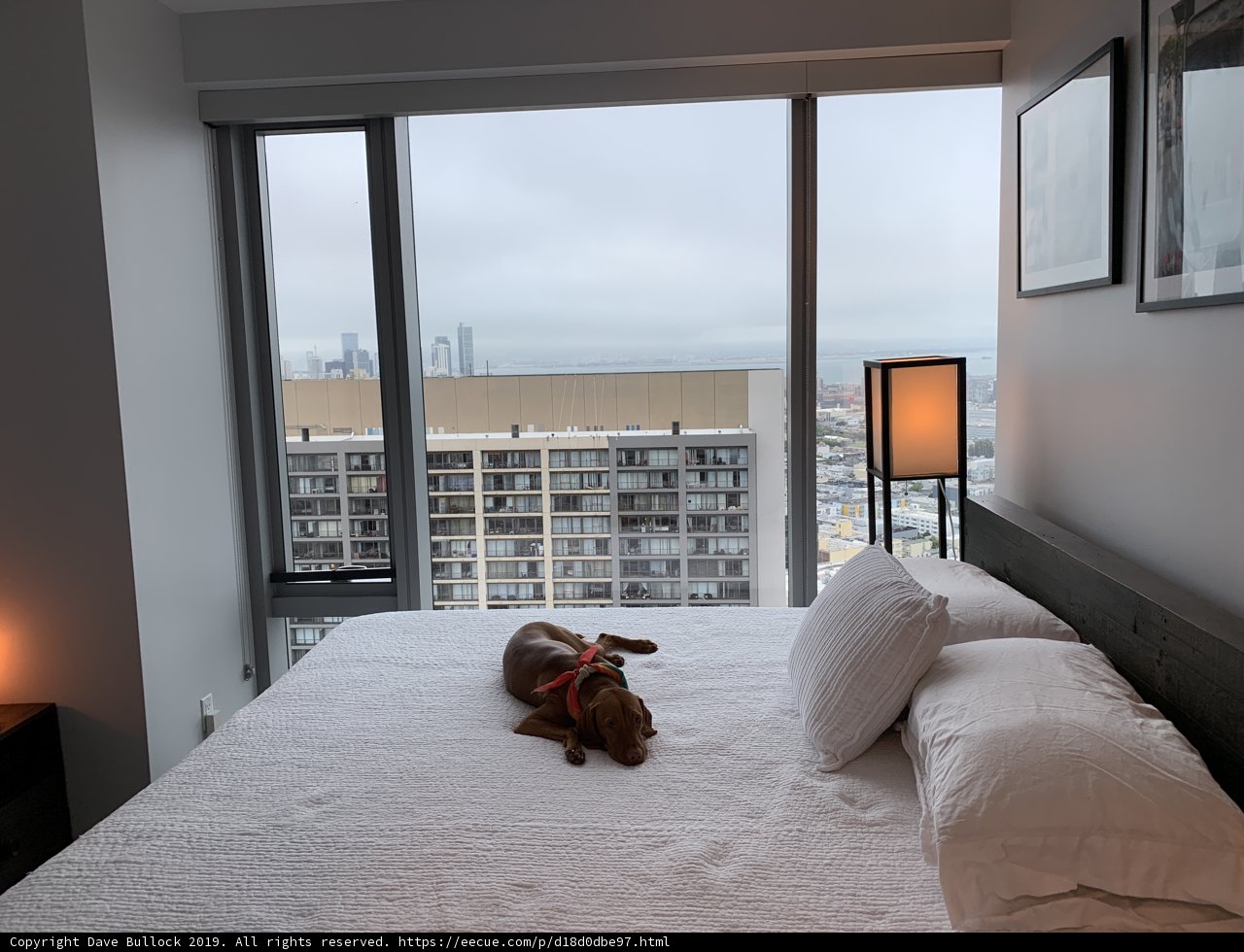 City Views and Cozy Beds