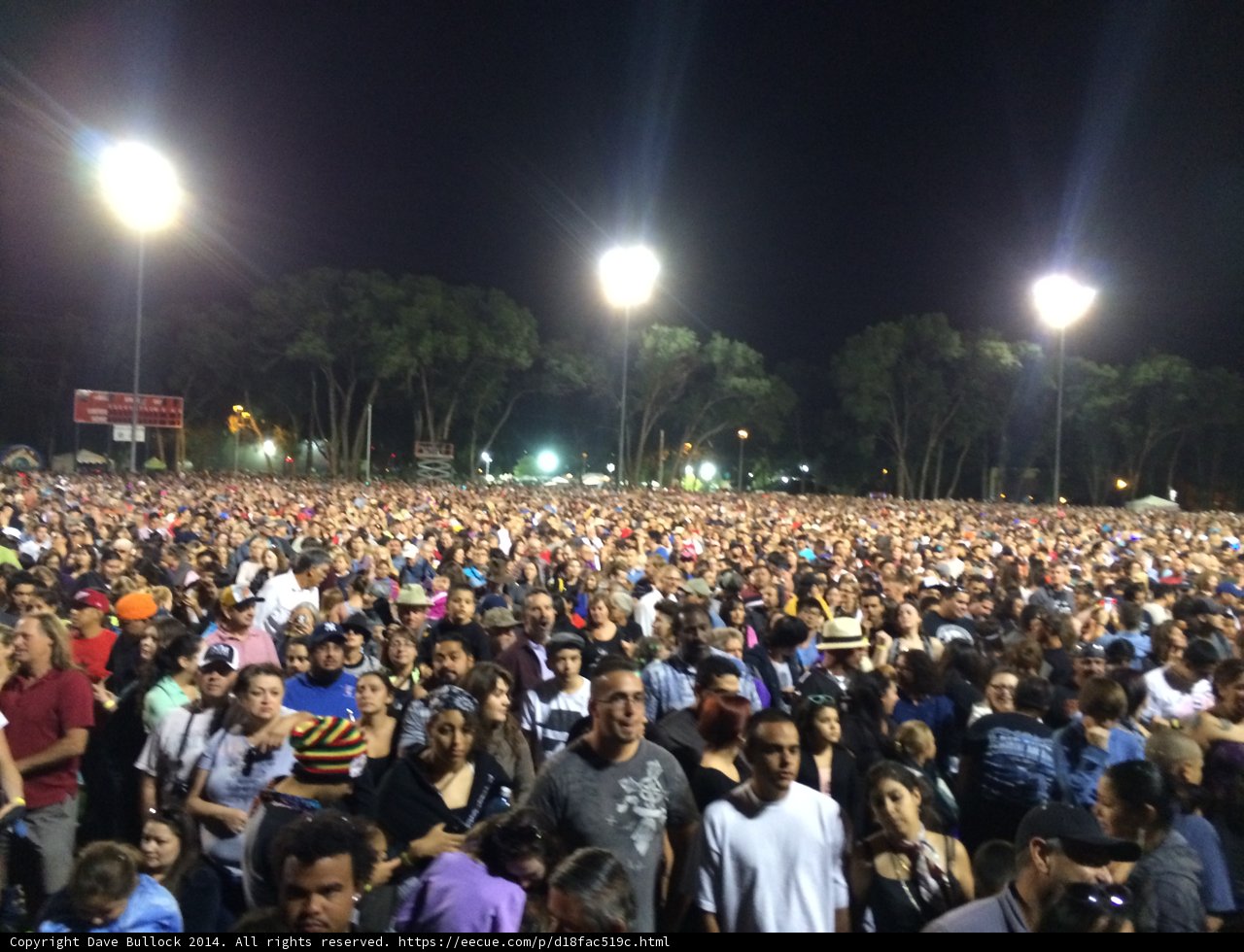 Nighttime Concert in the Park