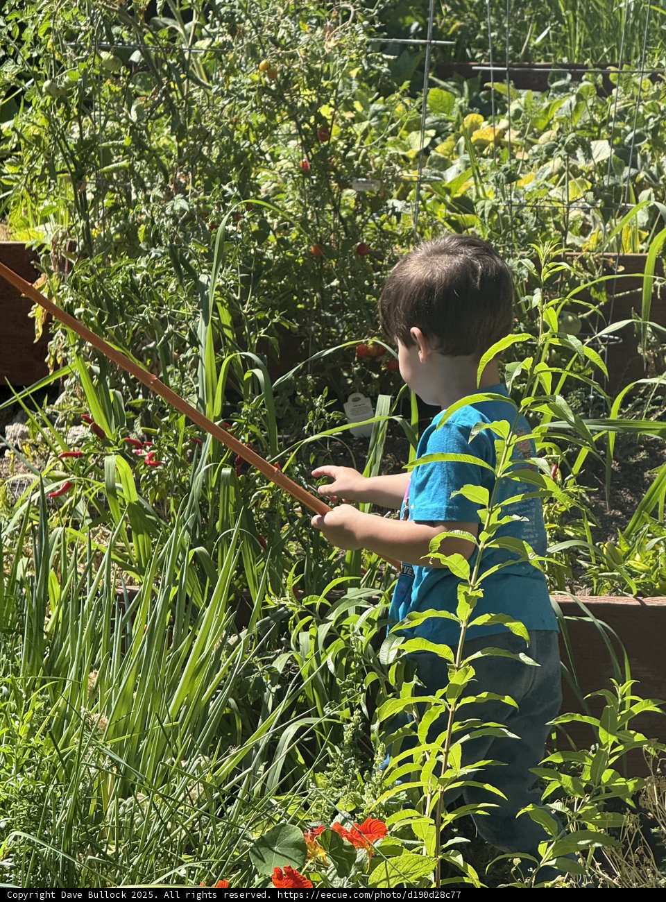 Young Gardener's Discovery