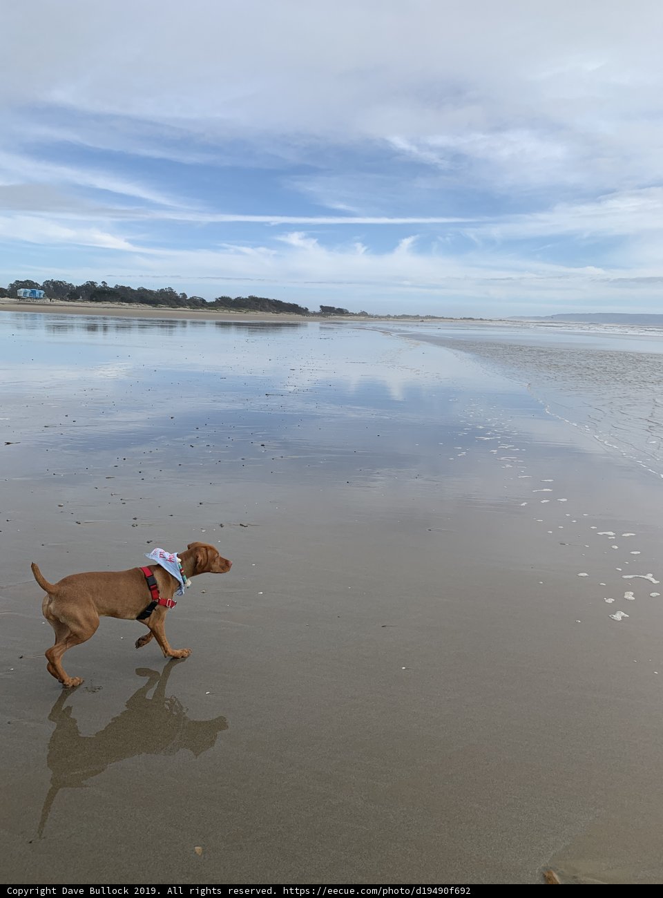 Beach Run