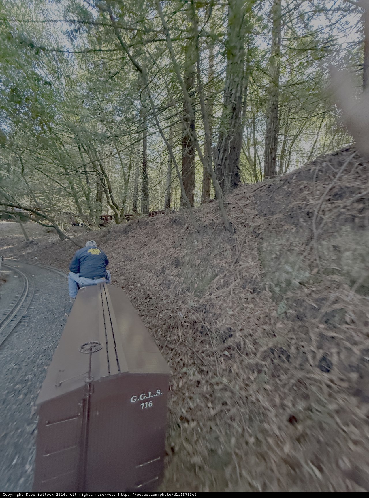 Vintage Railway Journey Through Wooded Hillside