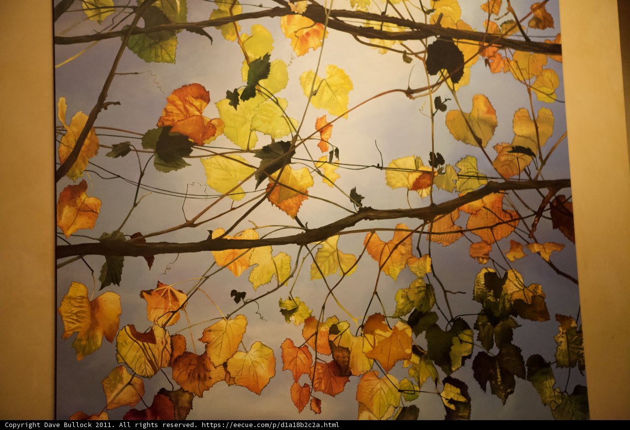 Autumnal Foliage