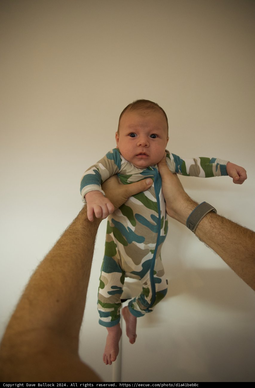 Little Adventurer in Camo