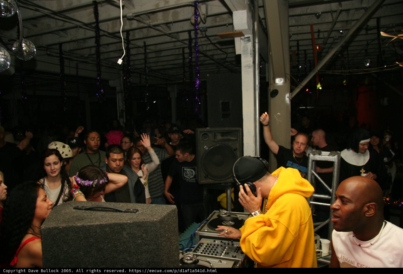DJ vibes in a crowd