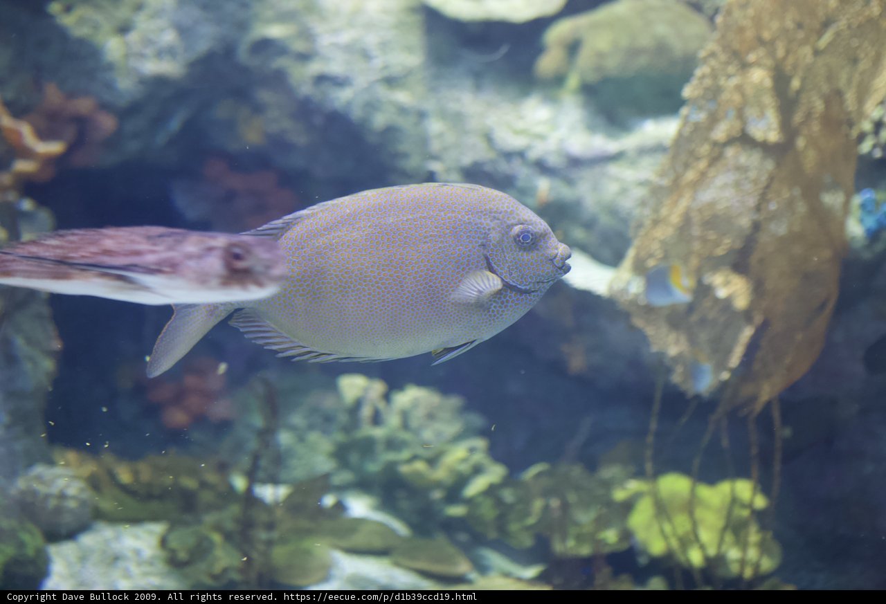 Underwater World