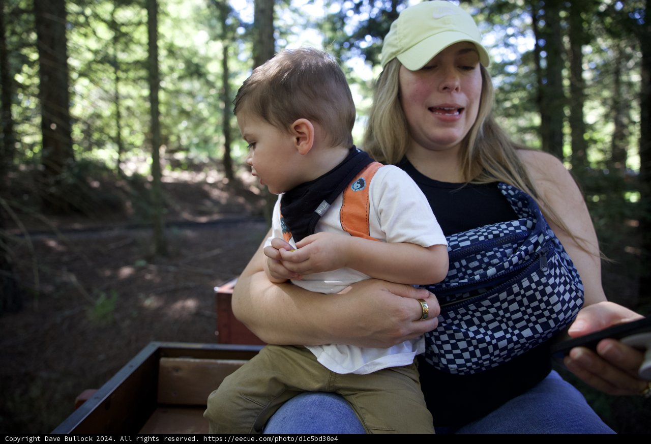Forest Adventures