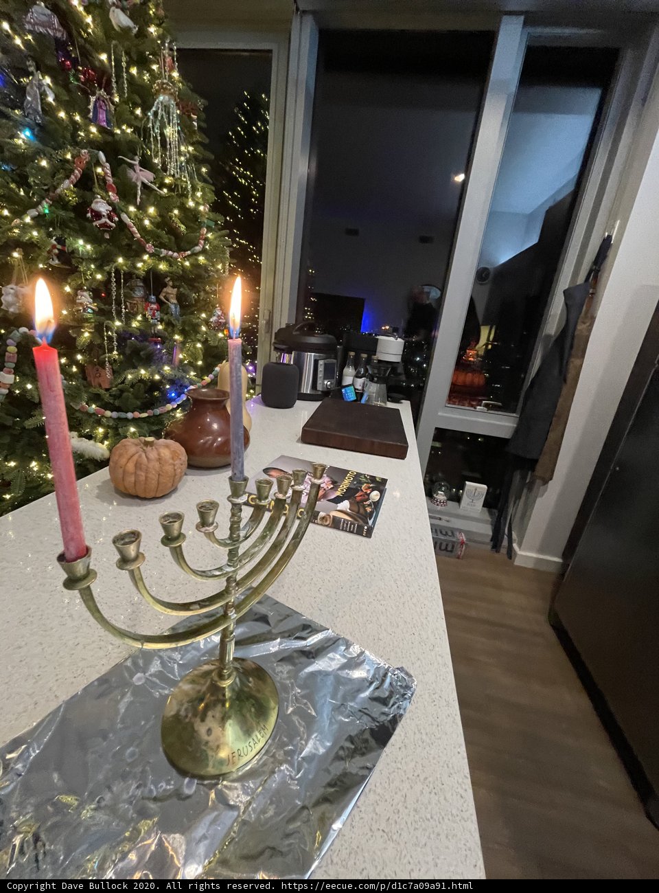 The Art of Festive Coexistence