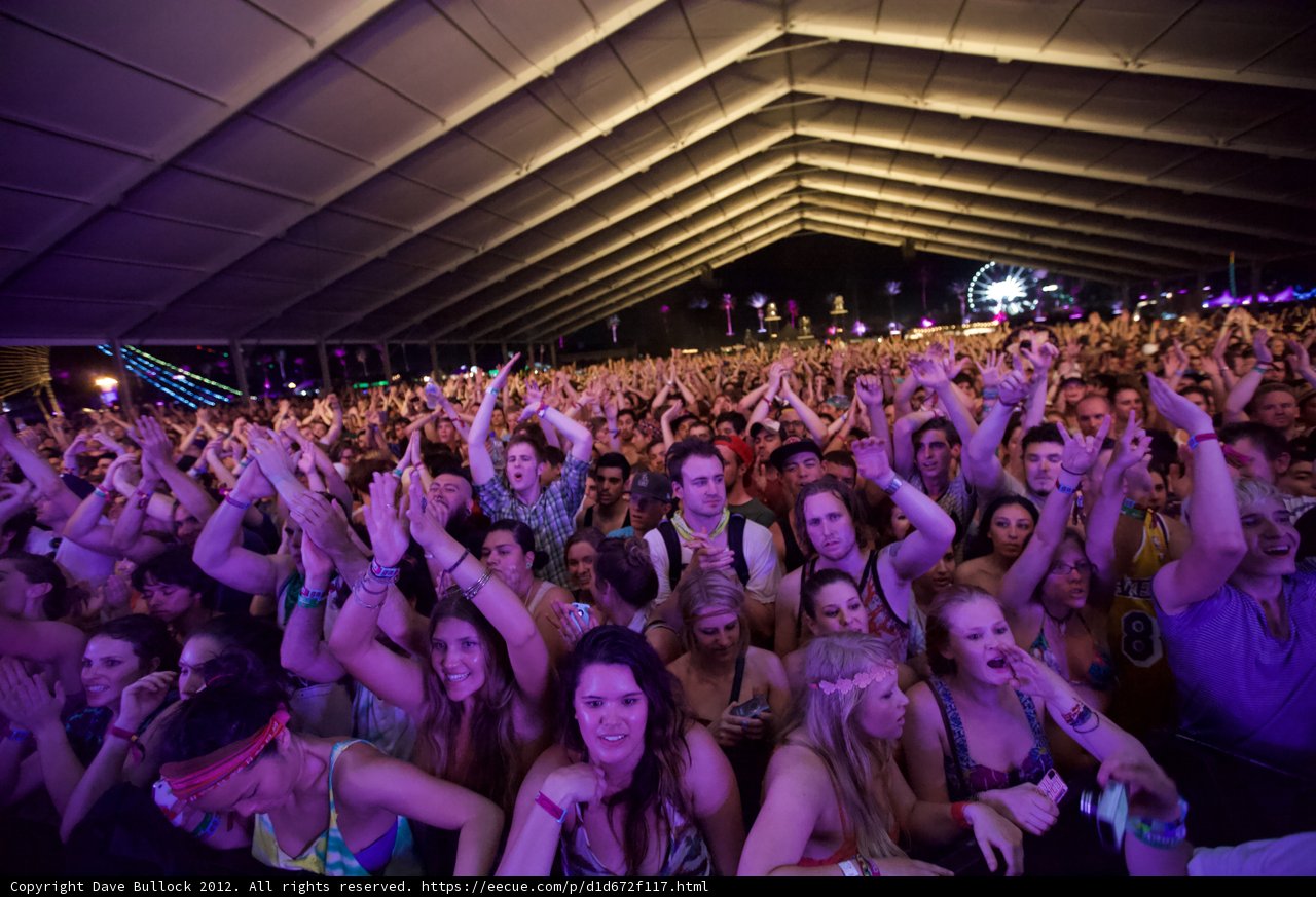 Ultimate Coachella Experience