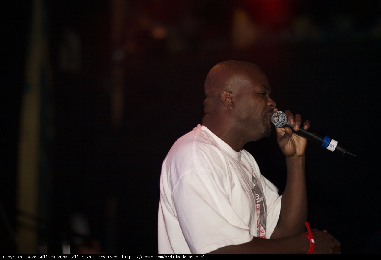 The Spotlight Singer