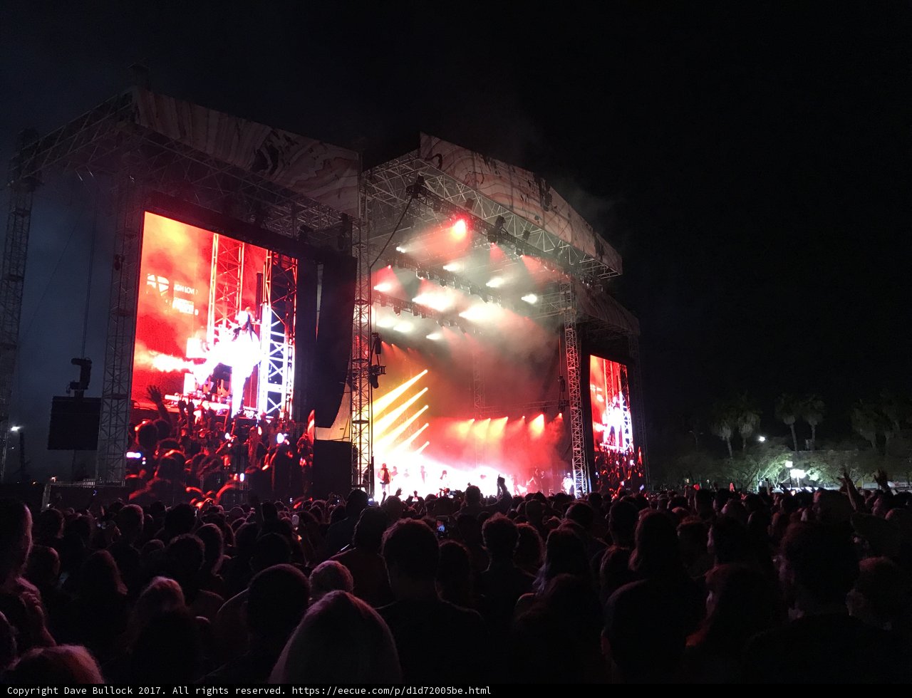 Rocking under the Night Sky