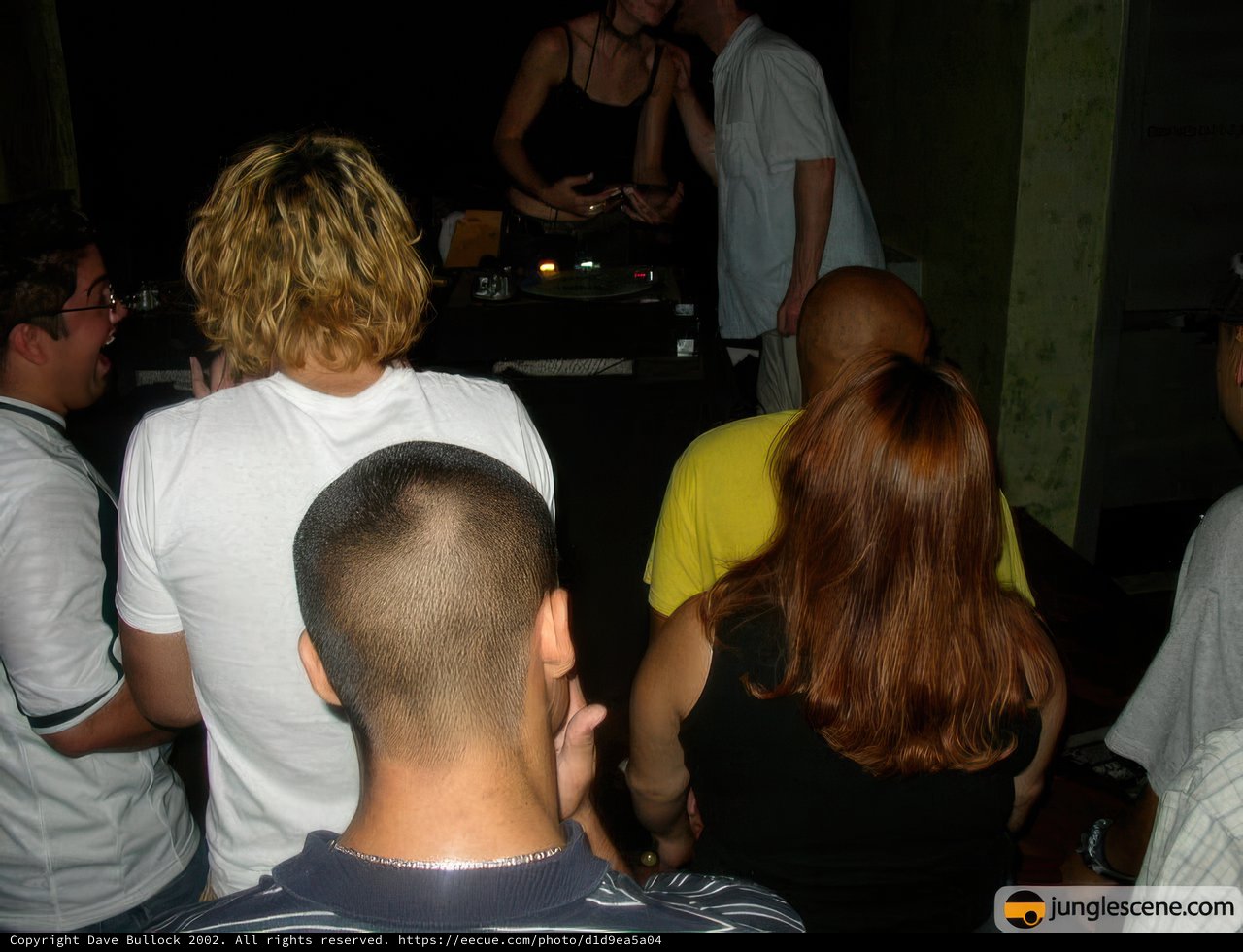 Nightclub Party with DJ