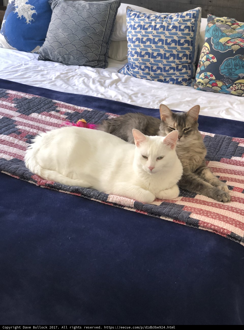 Double Trouble