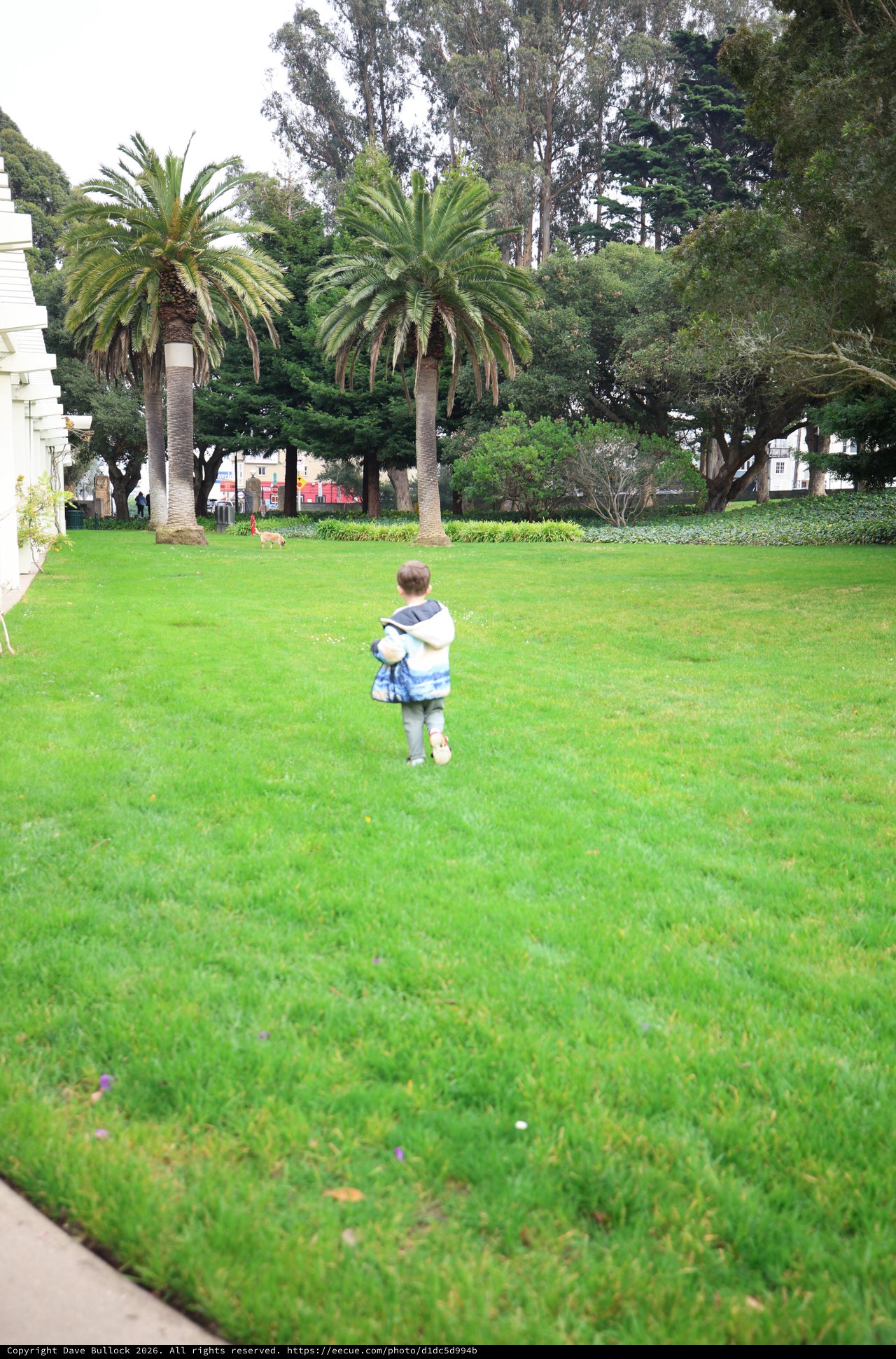 Child Explores Park Grounds on Overcast Day