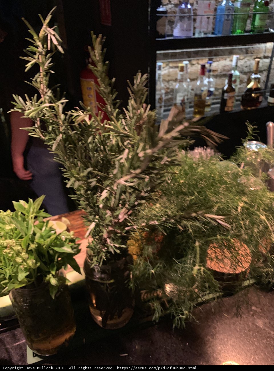 Plant-filled Bar