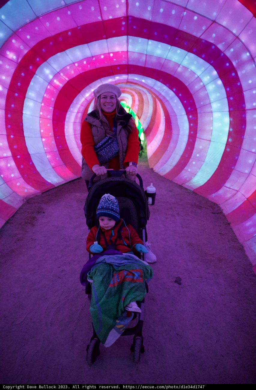 Illuminating Journey Through the Glowfari Oakland Zoo