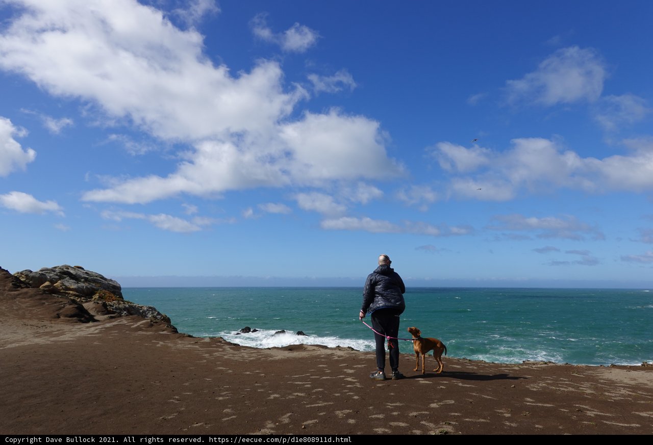 A Walk on the Beach with My Furry Friend