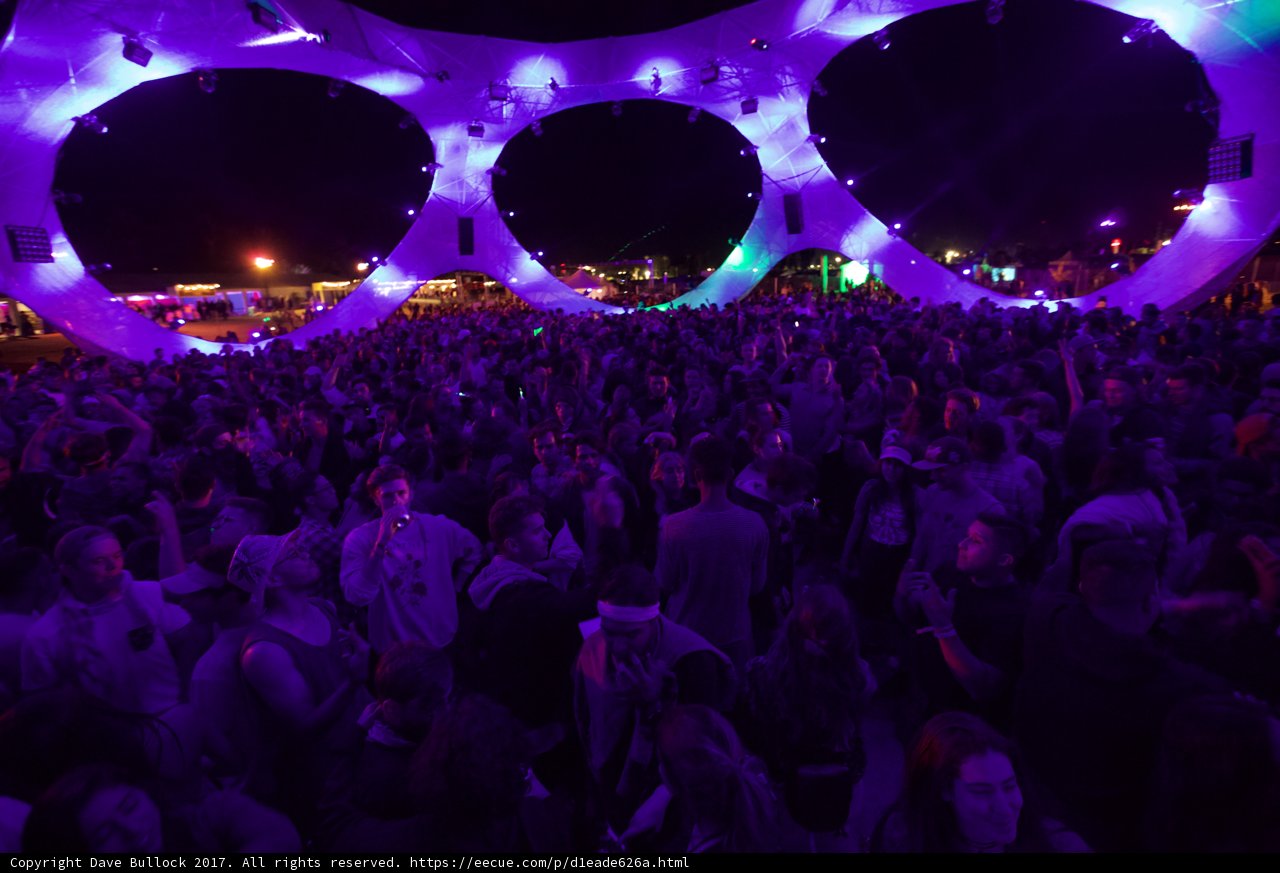 Neon Nightlife: A Festival Crowd in Purple Lights