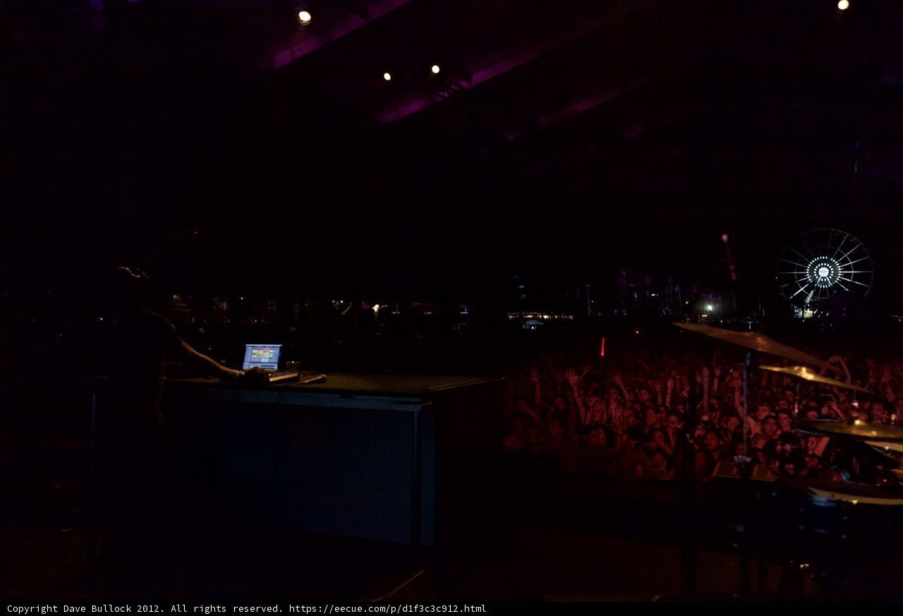 Coachella 2012: The Electric Crowd