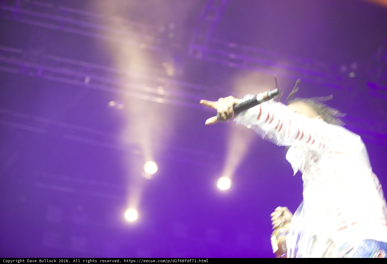 Spotlight on the Entertainer