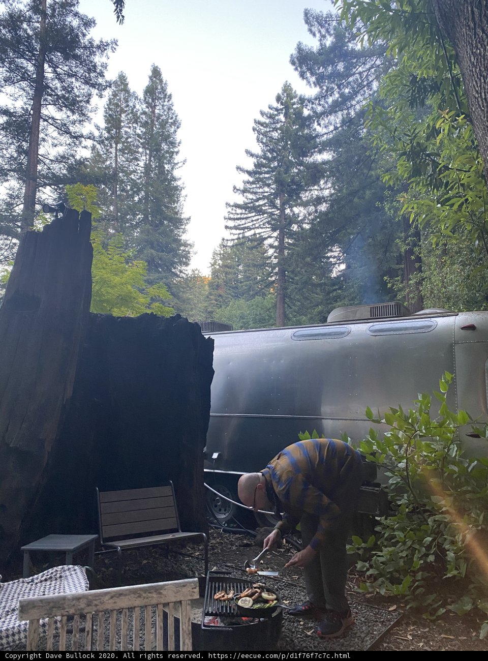 Grilling in the Forest
