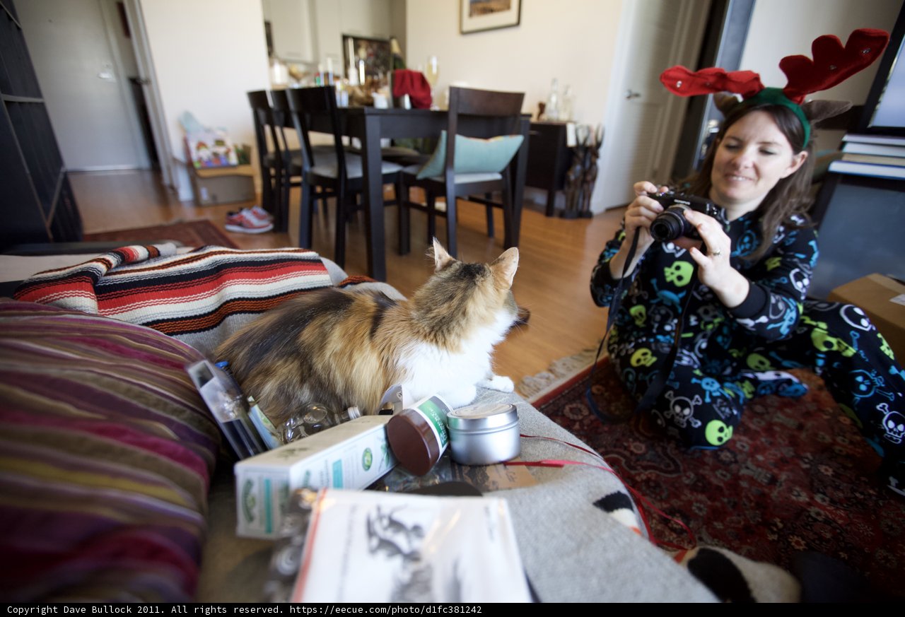 Holiday Cheer: Capturing the Moment