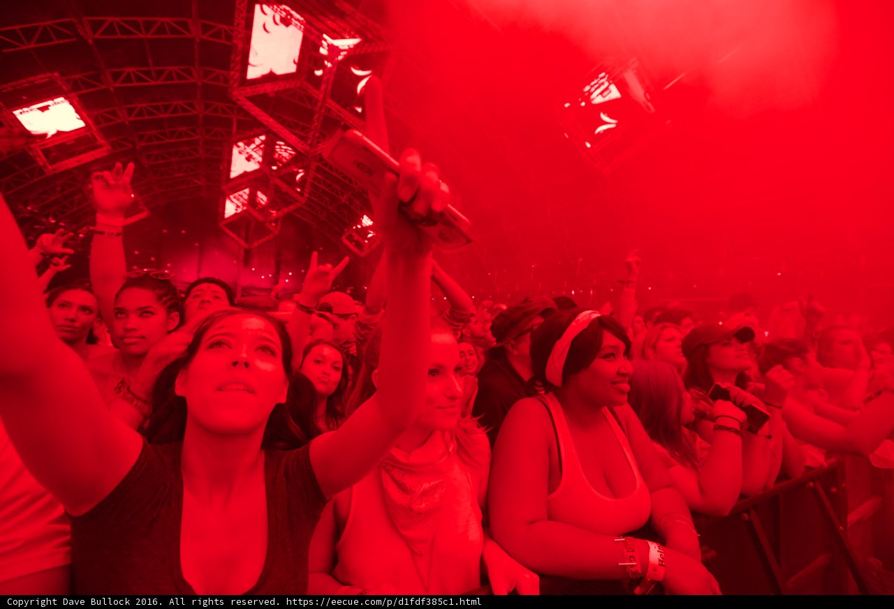 Red Haze Concert Craze