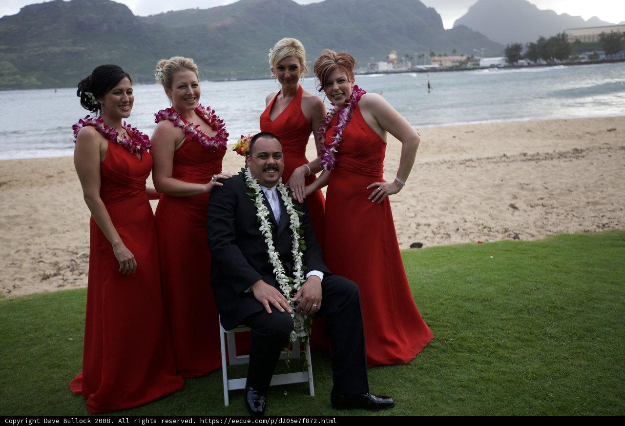 Wedding Party on the Shore