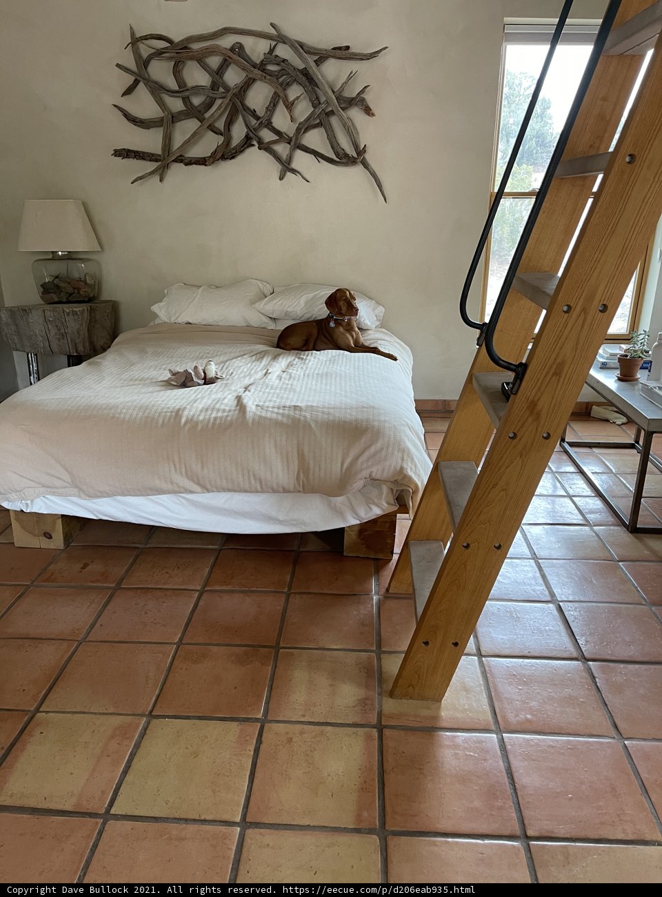 Rest and Relaxation