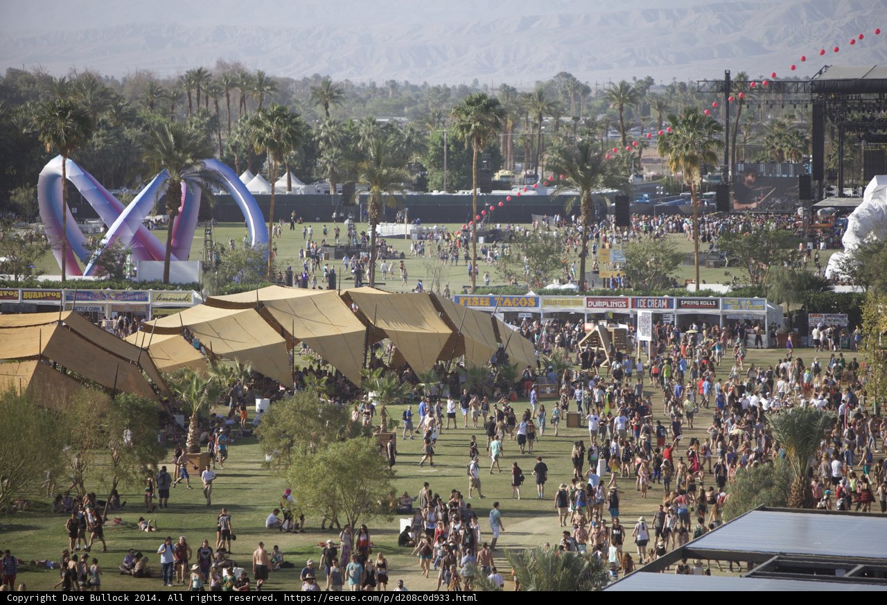 Desert Festival Draws Record Crowds