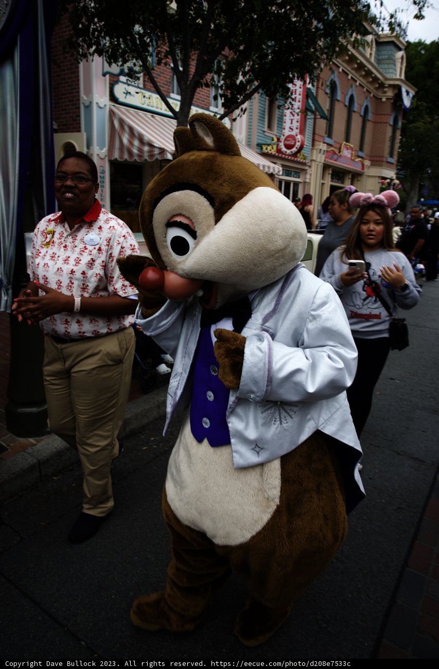Magical Moments at Disneyland