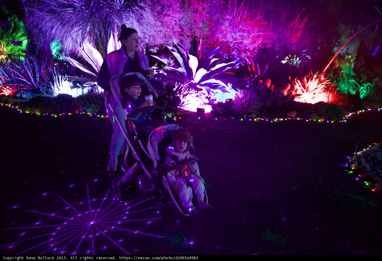 Enchanted Evenings in the Garden of D'Lights