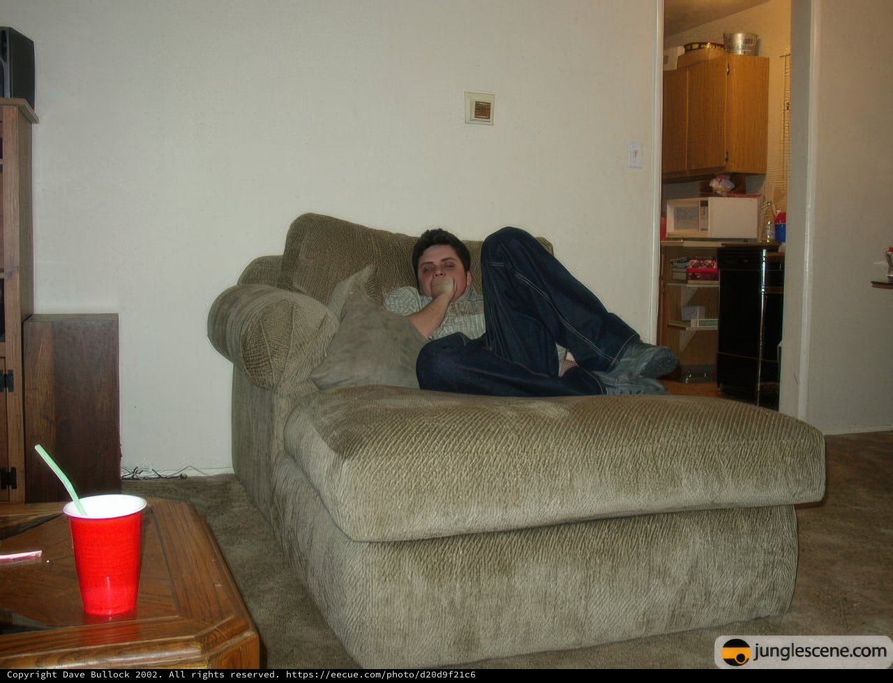 Man lounging on cozy couch