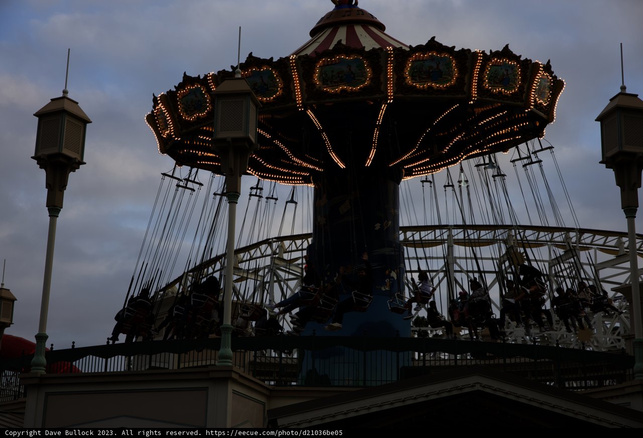 Magical Moments on the Carousel of Joy