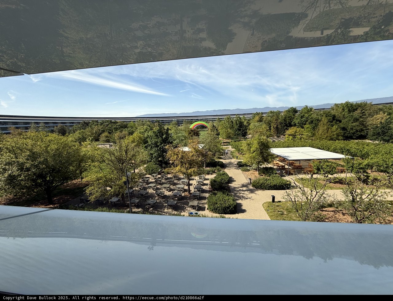 A Serene Morning at Apple Park