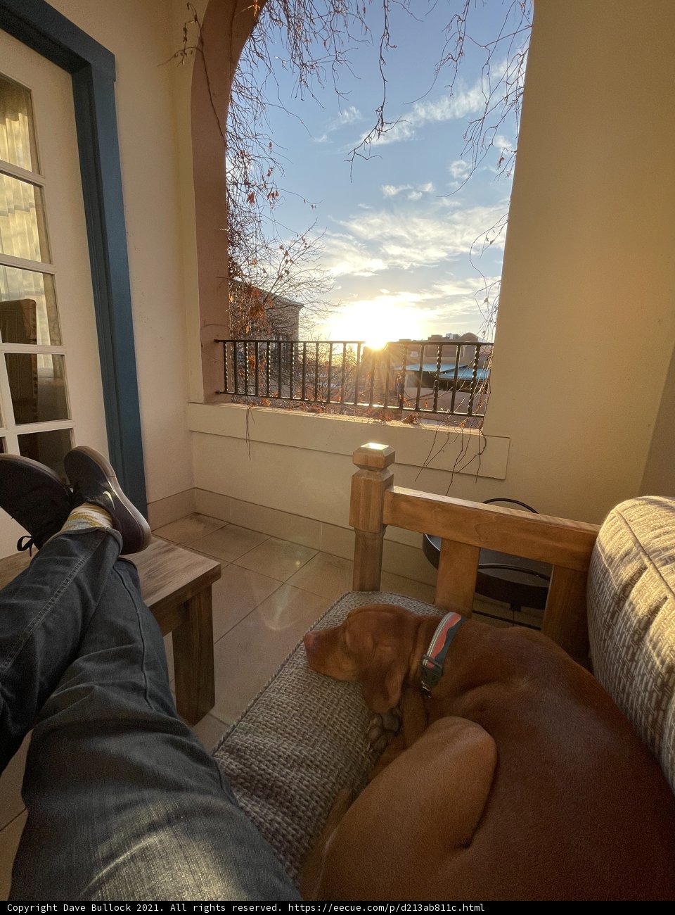 Cozy Afternoon Nap