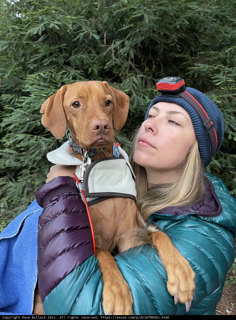 Blue Jacket, Blue Hat, and a Furry Friend