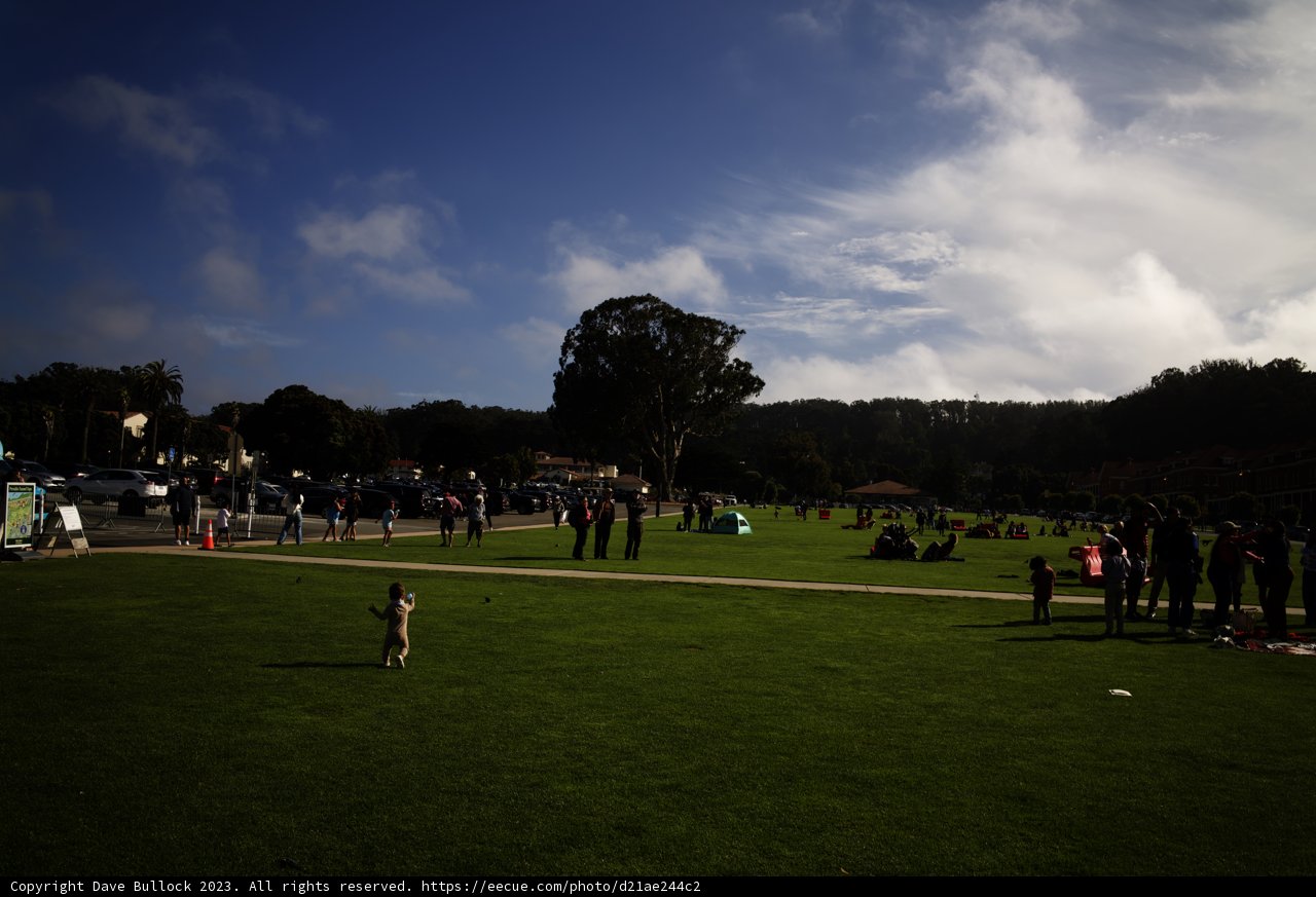 A Day in the Park: Canine Joy Amidst the Greens