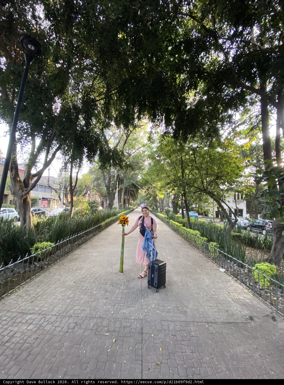 Walking Down the Path