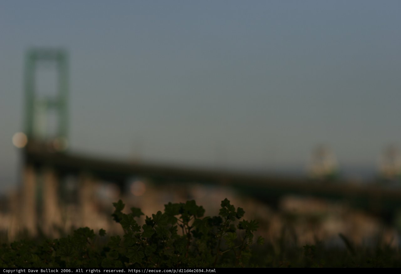 Urban Oasis