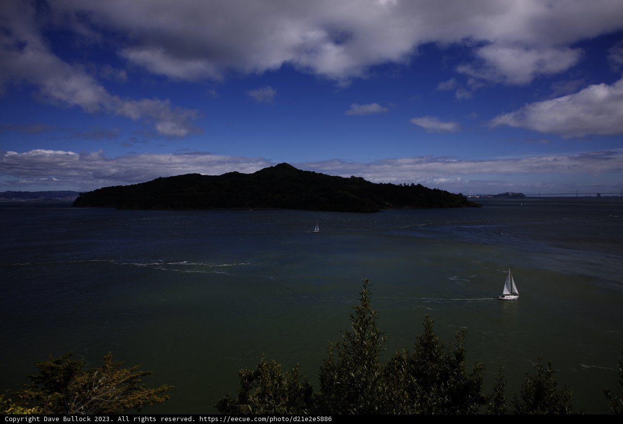Serenity on the Tiburon Shoreline