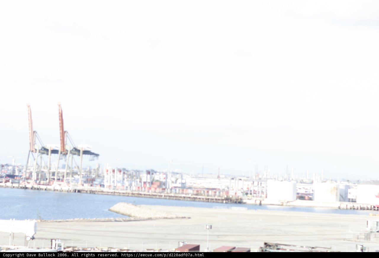 Relaxing at the Harbor