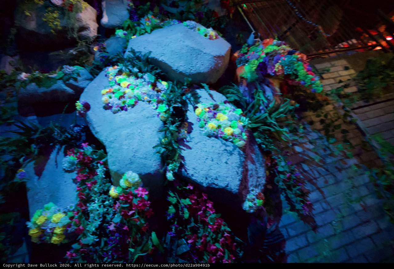 Vibrant Fluorescent Coral Reef Aquarium Display