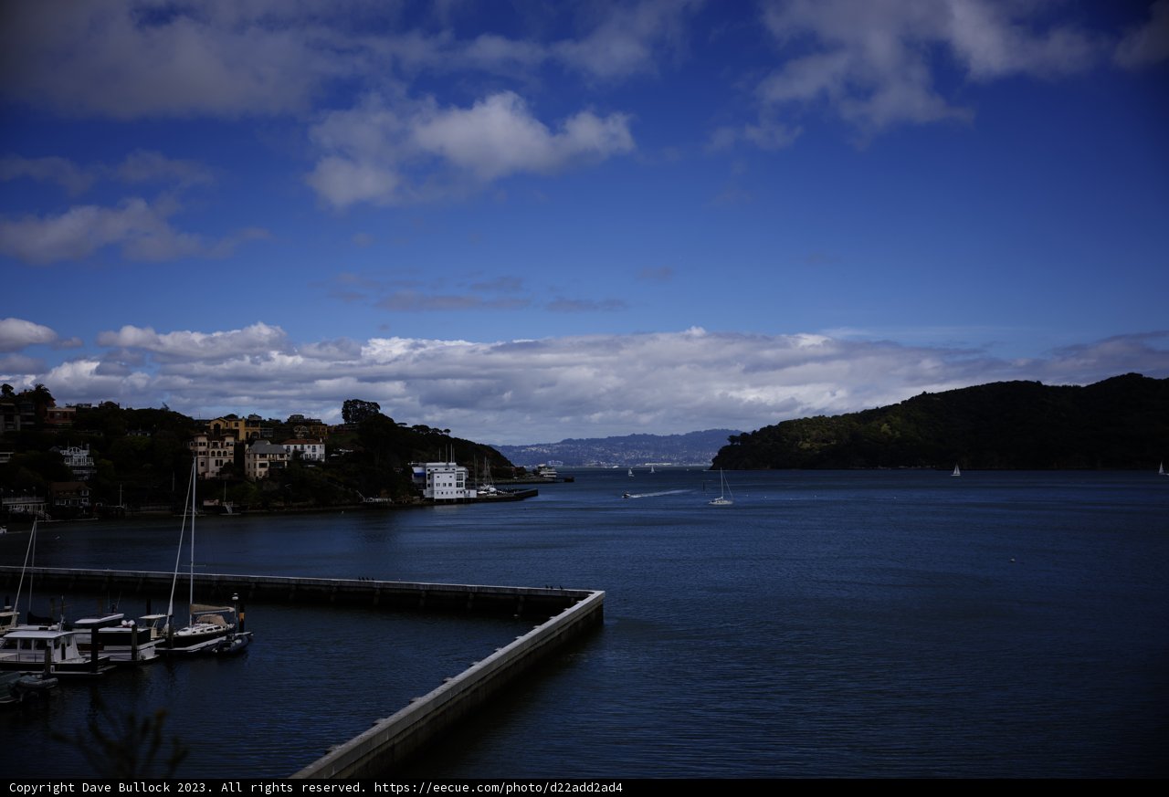 Tranquil Tiburon Harbor